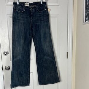 NEW RL Polo jeans No. 67 Wide Leg Low Rise Easy Fit Size 10 X 33